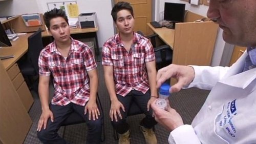 Homo ou hétéro, est-ce un choix
