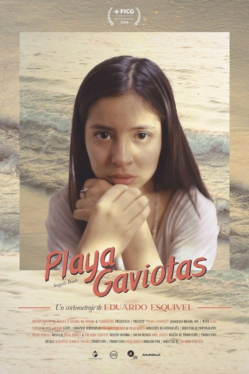Playa Gaviotas movie poster player