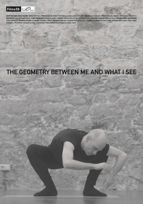 The Geometry Between Me and What I See
