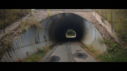 Wandering: The Art of Noticing