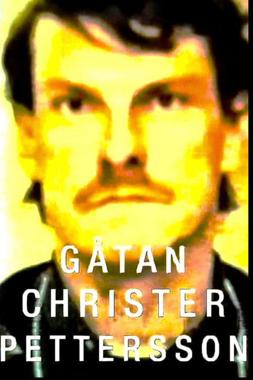 Gåtan Christer Pettersson