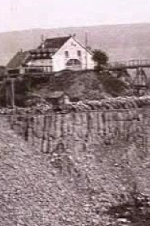 Dutch Basalt Company (1925)