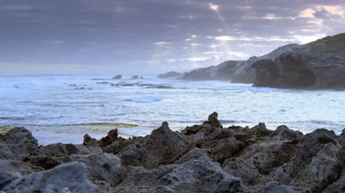 Sweeping Shores