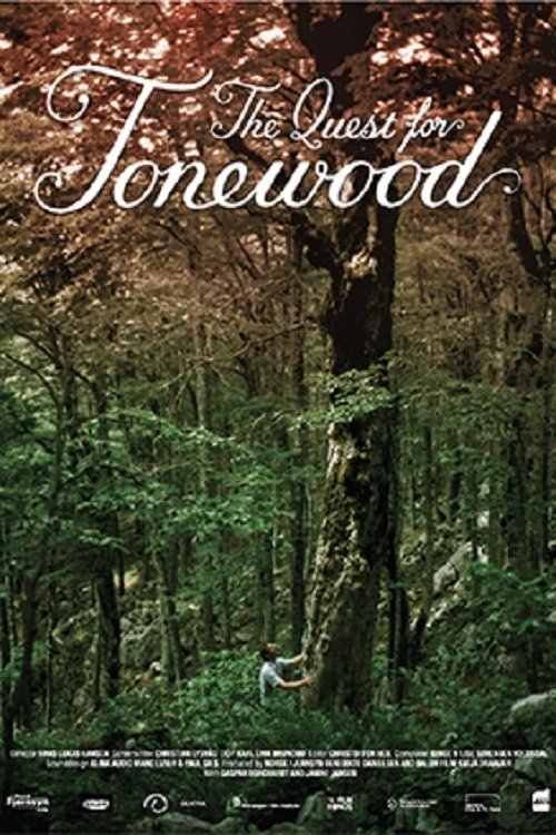 Grootschalige poster van The Quest for Tonewood