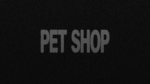 Tienda de perros Bild 5