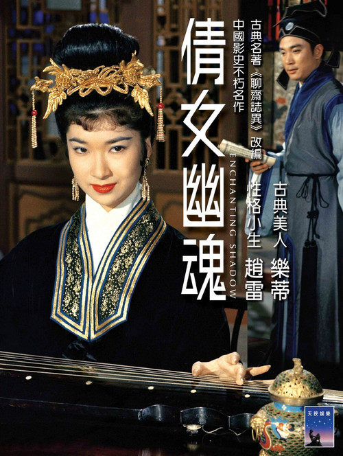 The Enchanting Shadow poster