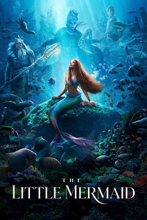 Grootschalige poster van The Little Mermaid