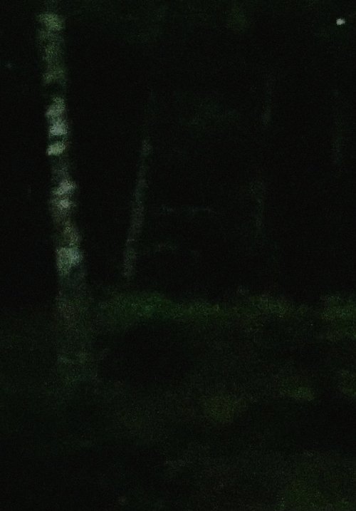 light rain, empty mind