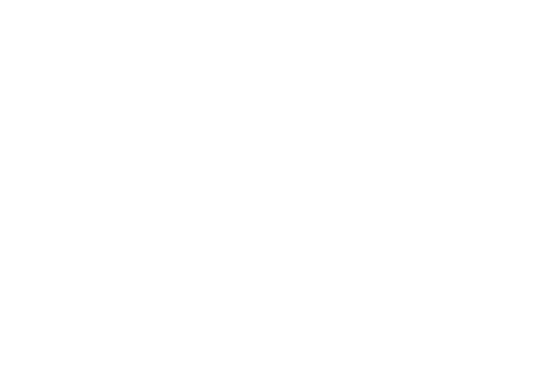 Hidden Love