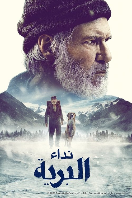 نداء البرية movie poster player
