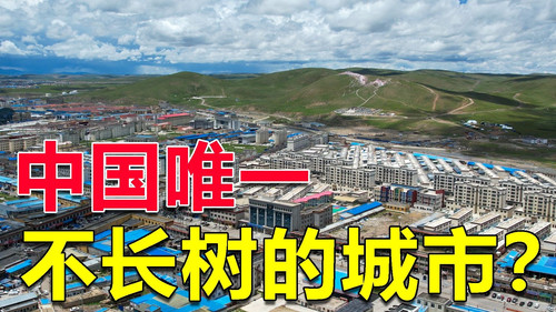 Episode 119