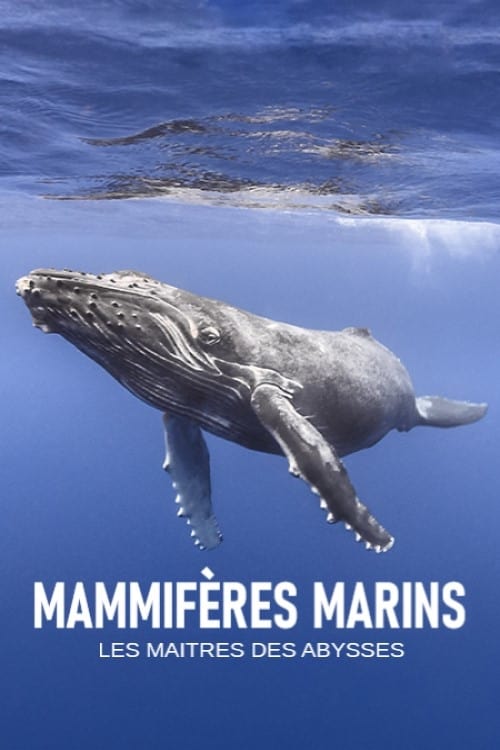 Mammifères marins - les maîtres des abysses 2018