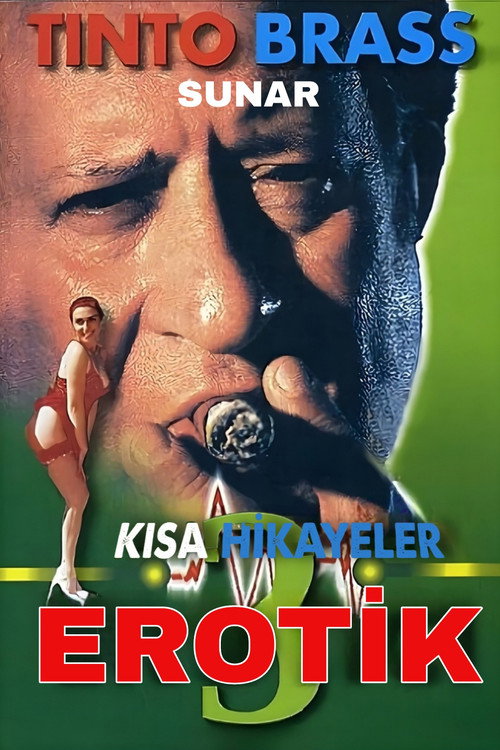 Erotik Kısa Öyküler Cilt 3