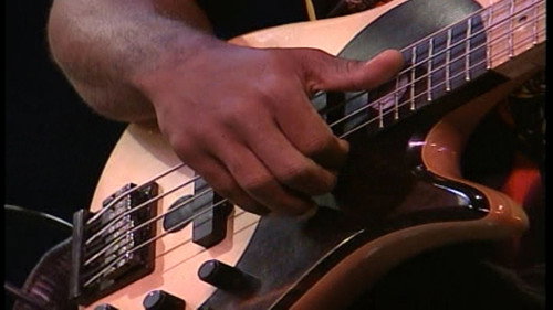 Bass Day 98 Backdrop Blur