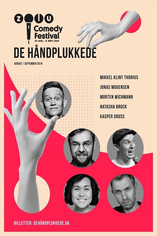 Zulu Comedy Festival: De Håndplukkede movie poster player