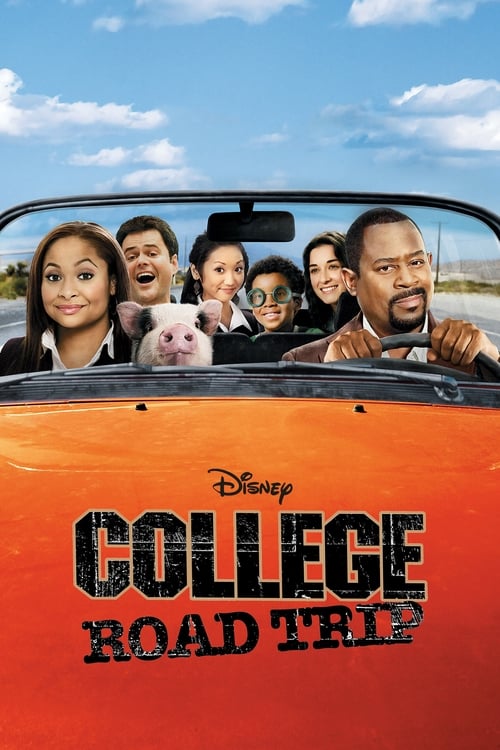 Grootschalige poster van College Road Trip