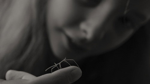 Image du film