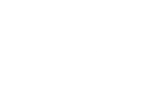 Due spicci official logo