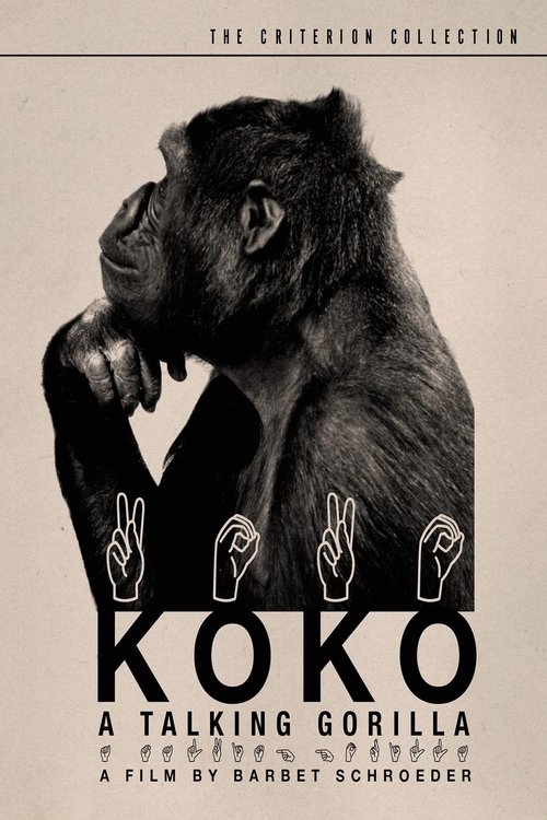 Koko: A Talking Gorilla poster