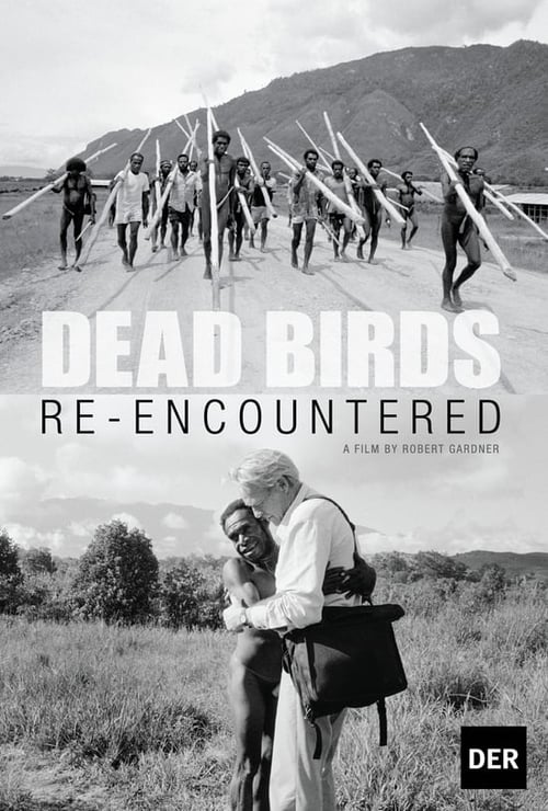 Dead Birds Re-Encountered (2013)