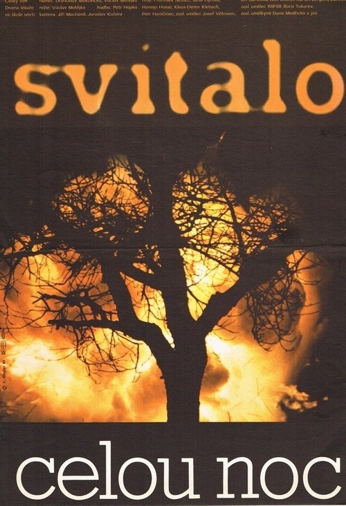Ver pelicula Svítalo celou noc Online