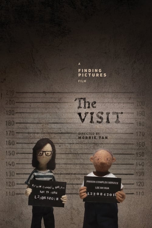 The Visit