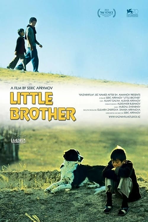 Little Brother (2013)