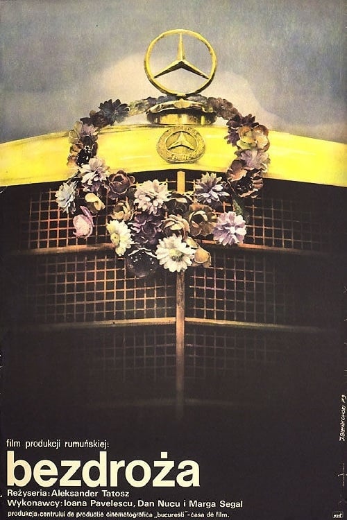 Poster Rătăcire 1978