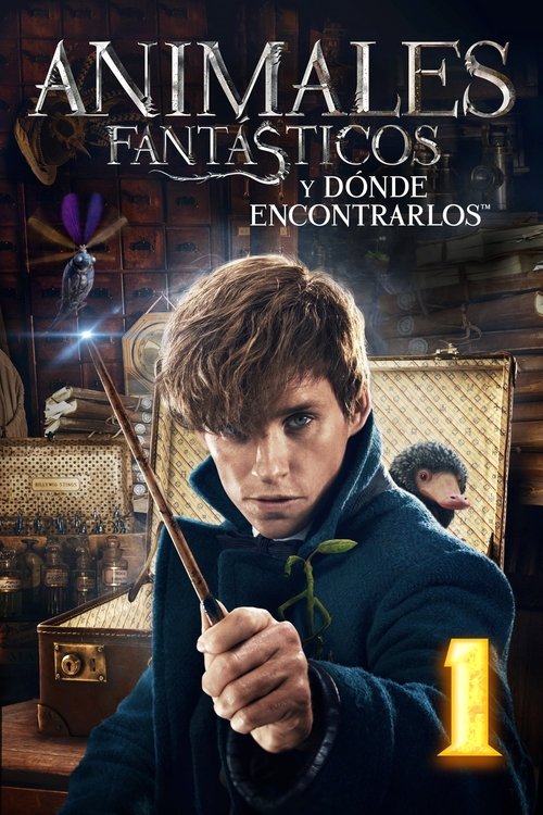 Posters