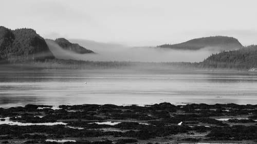 Les échos du moulin Backdrop Blur