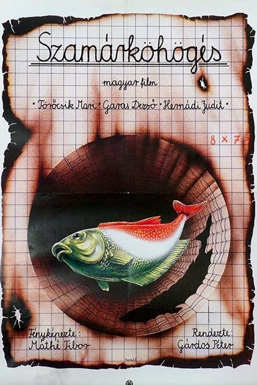 Poster Szamárköhögés 1987