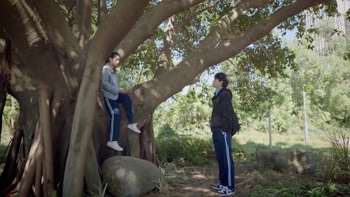 焕羽: 1×15