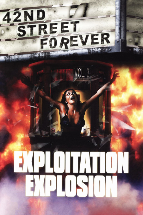 42nd Street Forever, Volume 3: Exploitation Explosion poster