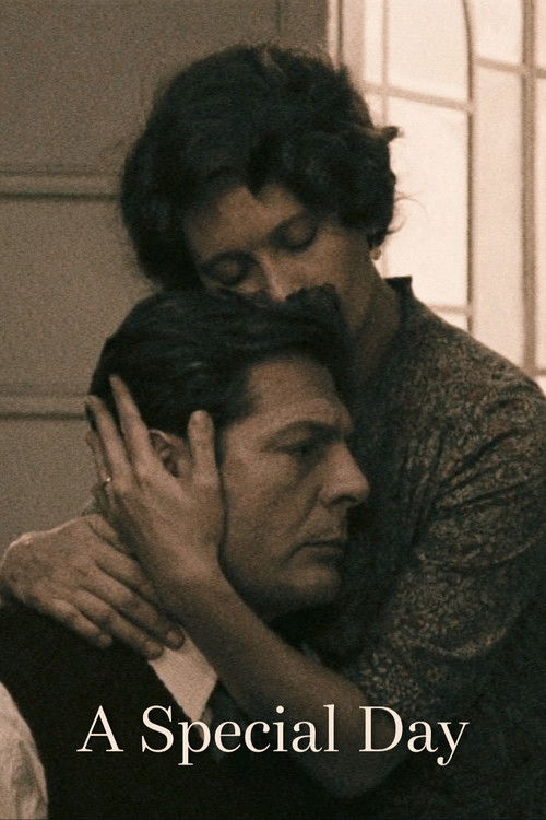 A Special Day poster