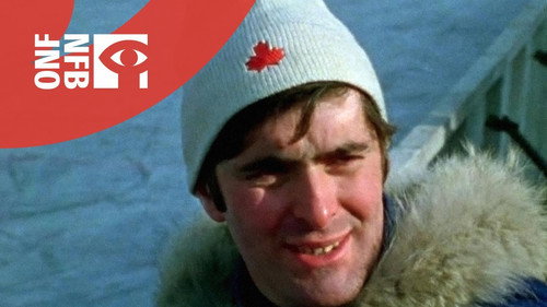 Thunderbirds in China