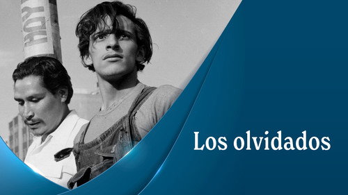 Os Esquecidos — Fundos 11