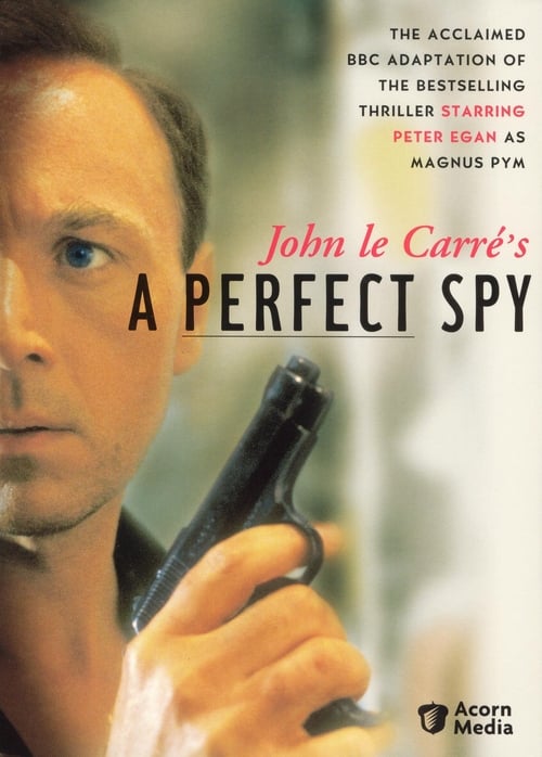 A Perfect Spy poster