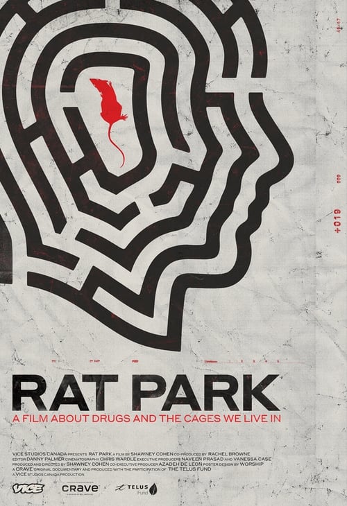 Rat Park 2019