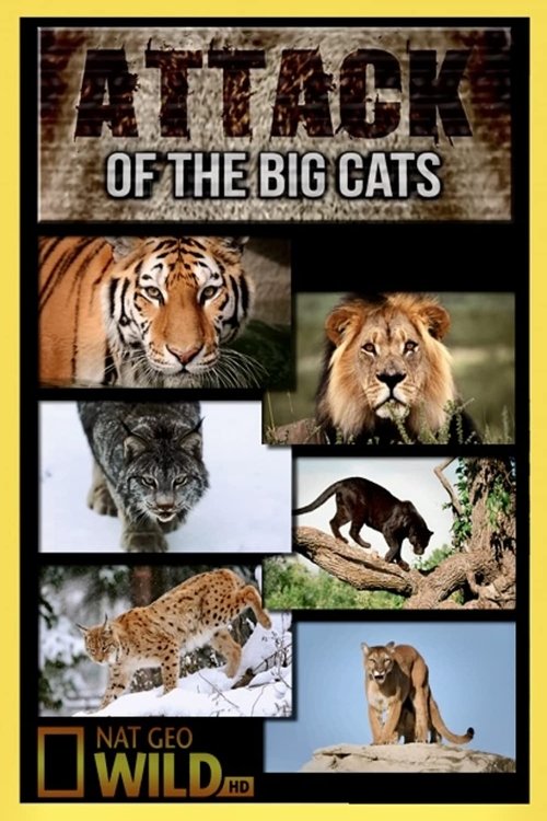 Attack of the Big Cats poster