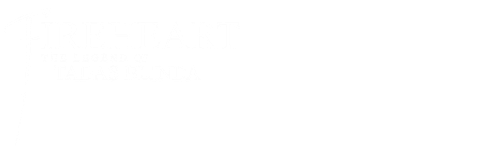 Fireheart: The Legend of Tadas Blinda