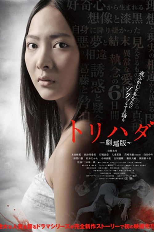 Pòster de Torihada Collection