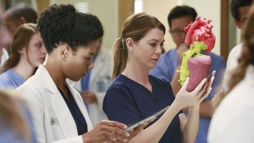 Grey's Anatomy - Season 11 - Episode 10: The Bed's Too Big Without You