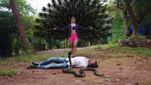 A Stranger Comes to Jay's Rescue!