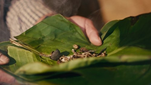 Image de l'épisode 1