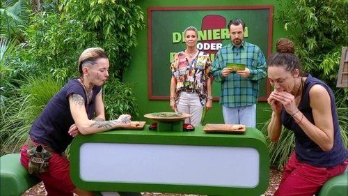 Épisode 12