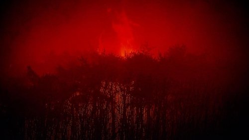 Image de l'épisode 293
