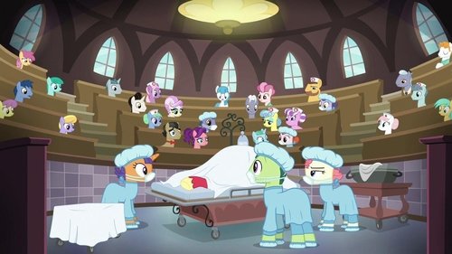 My Little Pony / My Little Ponei / Meu Pequeno Pônei: Amizade é mágica Episódio 23