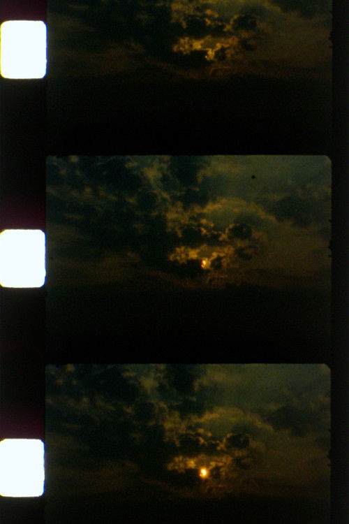 tendril and spray poster