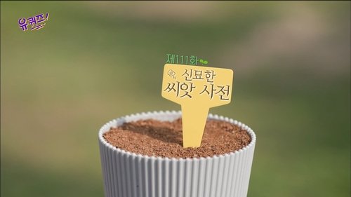 Épisode 111