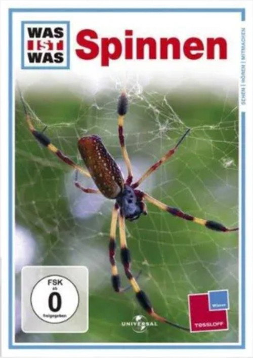 Was ist Was - Spinnen